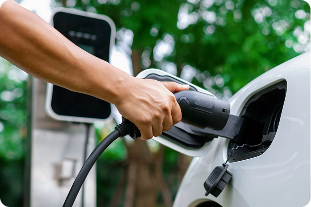 Sustainable Taxi Services